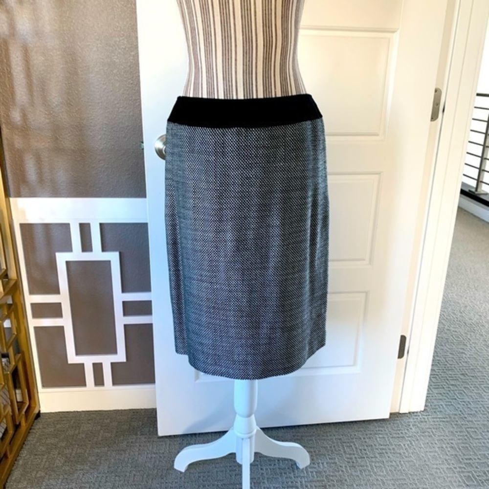 Tahari Asl Skirt
